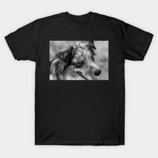 Dog portrait in black and white T-Shirt